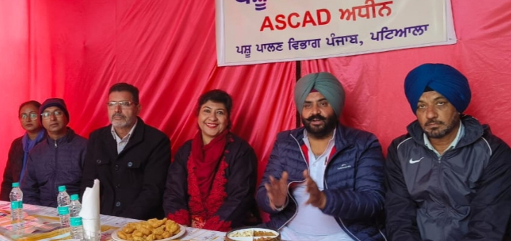 पशुओं को बीमारियों से बचाने के लिए पशुपालन विभाग के कैंपों का लाभ उठाना चाहिए: पठानमाजरा